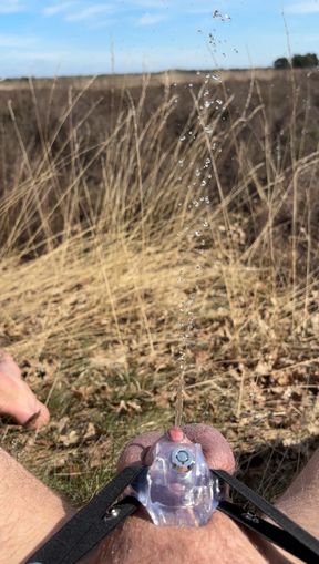 Outdoor micro chasttiy cage release