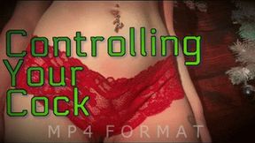 Controlling Your Cock (HD) MP4