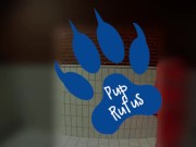 Quick paw in raingear
