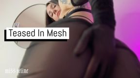 Teased In Mesh | POV Face Sitting
