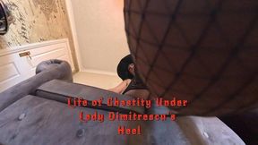Lady Dimitrescu Chastity Slave POV