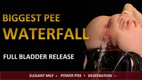 Shiny Leggings Desperate Power Piss Waterfall