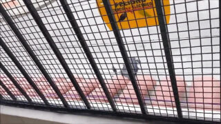 Amateur-Schwule, großer Schwanz im Arsch gefickt