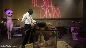 Maitresse Madeline Marlowe Will Havoc Tony Orlando in Honeymoon Cuckold At Hotel Divine - DivineBitches