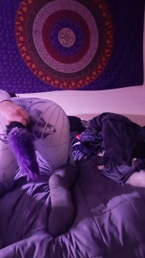 Pet Play Socks Plug Tail