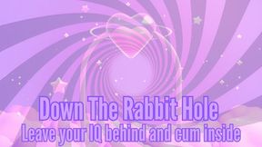 Down The Rabbit Hole