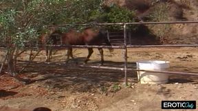 Encounters Without Limits