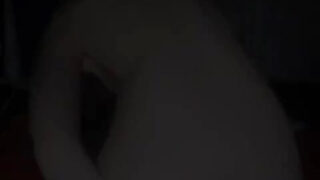 Tatoveret amatør teenager hamrer sin egen røv med en summende vibrator