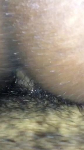 Black Breeders 64