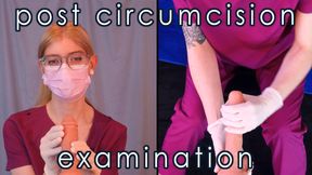 Circumcision Follow Up Examination