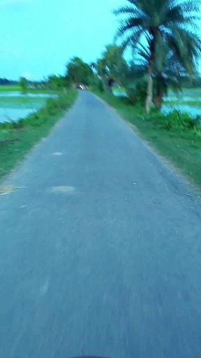 Nice scenery