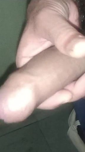 Epic moment from &quot;I love being naked in the staff restroom. I love caressing my penis.&quot;
