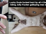 Lucky Dude enculé par les 4 Dalton chevauche Jolly Fucker galopant au max