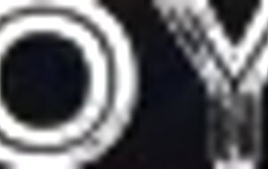 Maduro recibe una mamada de un oso amateur