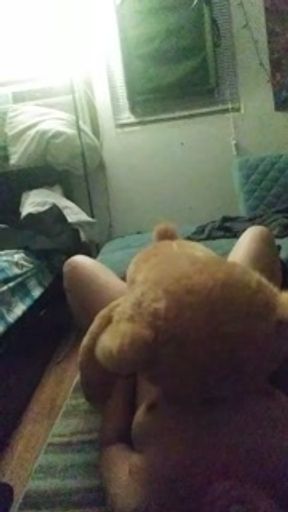 Teddy loves my pussy