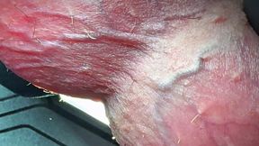 My Balls Are Punished