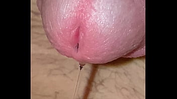 Throbbing boy dick oozing pre cum