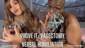 Prove It: Vasectomy Verbal Humiliation feat. @GalacticDomme