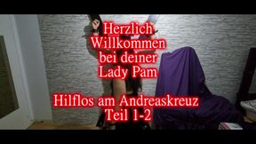 Dominant Brunette Kicks Bound Sub's Throbbing Balls Hard