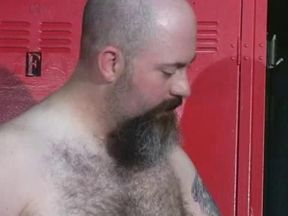 Wild Bears