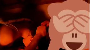 PETERA ARGENTINA DE VILLA GESELL