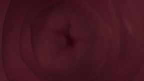 The night of the break-in