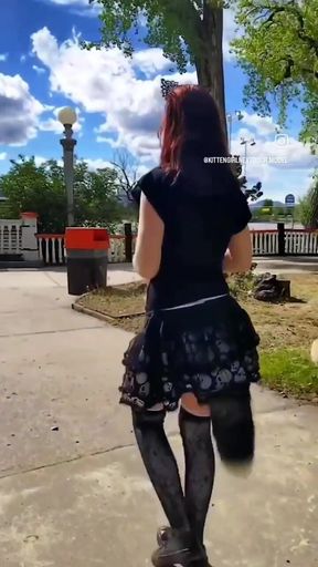 Kittens Walk Through the Park