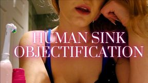 HUMAN SINK OBJECTIFICATION