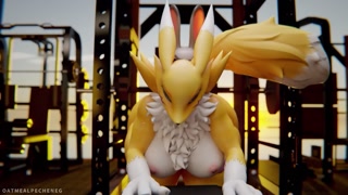 Furry Compilation: Renamon  Vol 4