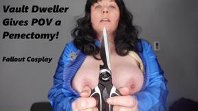 Vault Dweller Gives POV a Penectomy MP4 1080