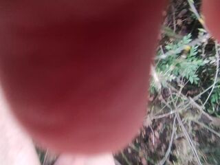 stripped in the wood, walk in the brambles near road