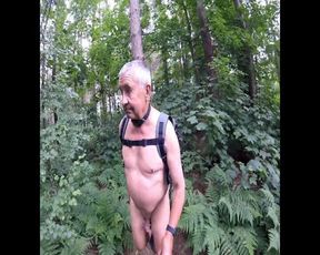 Part 2 Walk in the Woods