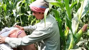 Hot Indian Threesome, Laborer And Employer Heat Up Corn Field In Steamy Gay Encounter - Hindi Voiced