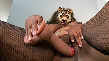 Pussy in the wild
