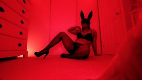 Bunny Red Light District