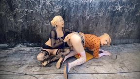 Outdoor sex on the roof hotel