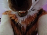 Furry Femboy Getting Bent In Half And Roughly Fucked With A Strap On! (In Fullsuit)