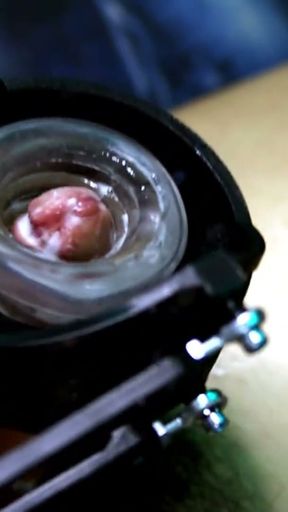 How long can this poor penis withstand the movements of a BDSM machine?   Clip 1