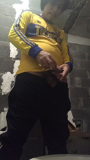 A Meada in the Toilet