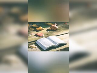 Numbers 23-25 KJV (Full Bible Read Throughout Movie scene #34)