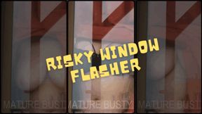 Risky Window Flasher wmv