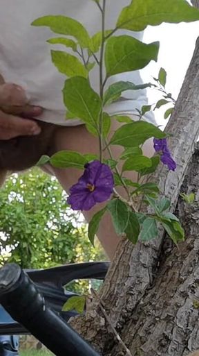 Watch Me Jerking off Outdoors While Hiding Behind a Tree