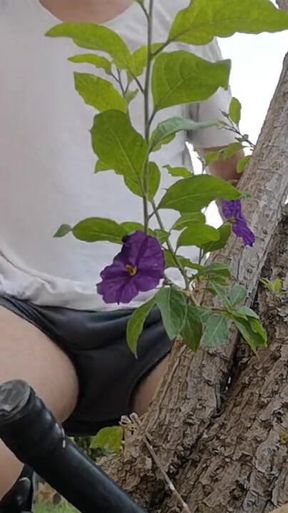 Watch Me Jerking off Outdoors While Hiding Behind a Tree