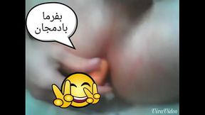 شاهکون ایرانزمین هستم
