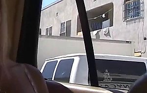 shyla  stylez -  searching  for  shyla