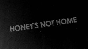 Honey's Not Home