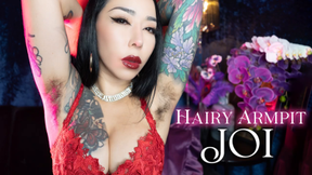 Hairy Asian Armpit JOI