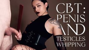 CBT: I whip his penis and testicles with my paddle