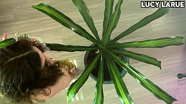 “Overhead Plant Cleaning Barefoot Topless Apron Fetish”