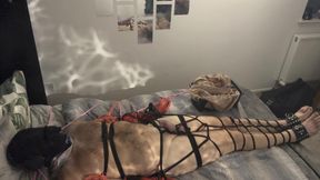 Roped up, teased and tormented 😈